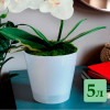 Горшок для цветов "InGreen London Orchid" 5 л с дренажной вставкой (белый перламутровый)