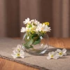43407 Ваза (FLORA)