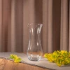 43737 Ваза (FLORA)