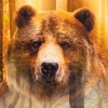 Полотенце «Этель: Лес», (40×67см, хлопок 100%, саржа 190 г/м2)