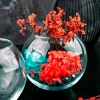 43407 Ваза (FLORA)