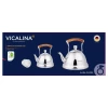 Чайник Vicalina VL-2024
